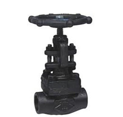 Robinet à soupape en acier forgé 800 LBS