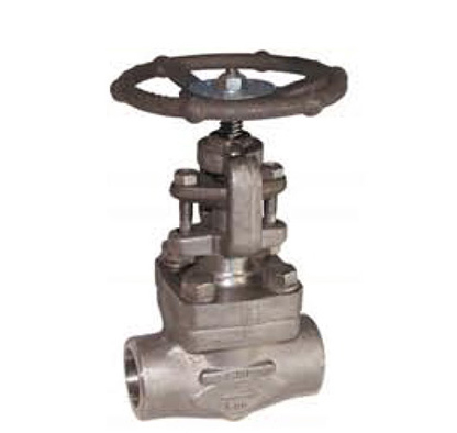 Robinet à soupape en inox forgé 800 LBS