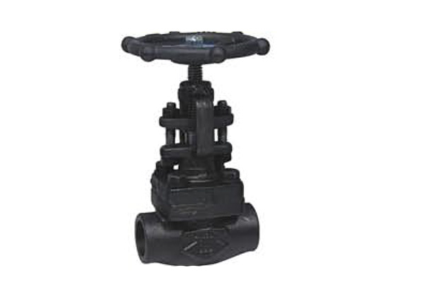 Robinet à soupape en acier forgé 800 LBS