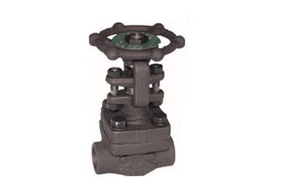 Robinet à soupape en acier forgé à soufflet 800 LBS