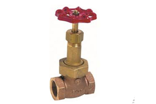 Robinet à soupape en bronze F/F PN25