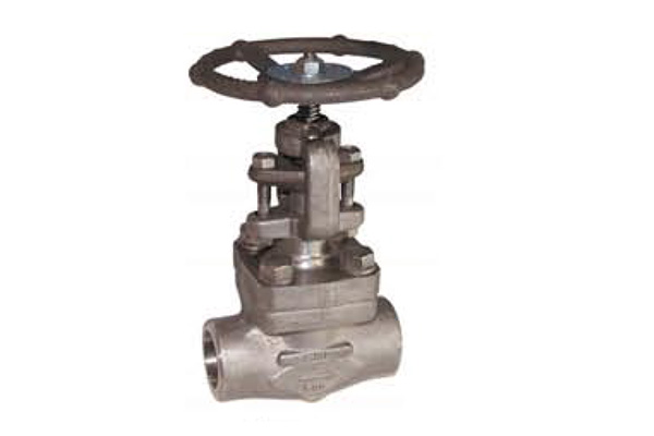 Robinet à soupape en inox forgé 800 LBS