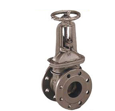 Vanne à opercule NFE 29323 en fonte à brides PN10/16