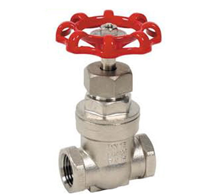 Vanne à opercule en inox F/F PN16