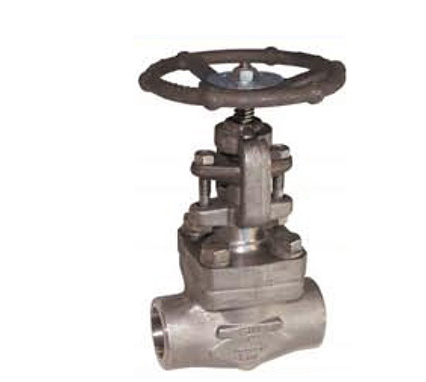 Vanne à opercule en inox forgé 800 LBS