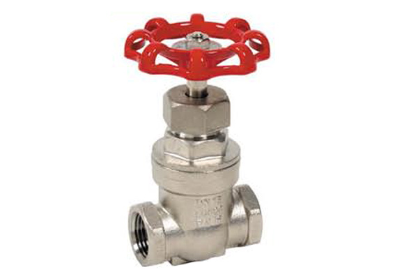 Vanne à opercule en inox F/F PN16