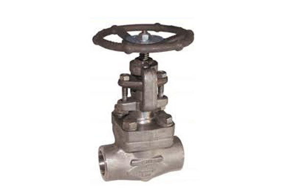 Vanne à opercule en inox forgé 800 LBS